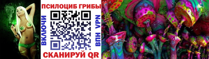 darknet Telegram  Фатеж  Галлюциногенные грибы Psilocybe 